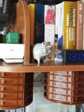 Книжная система хранения.