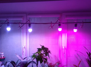 Подсветка растений на подоконнике