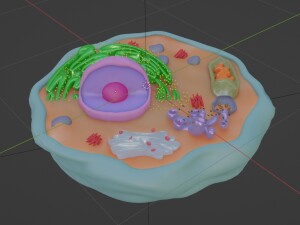 строение клетки