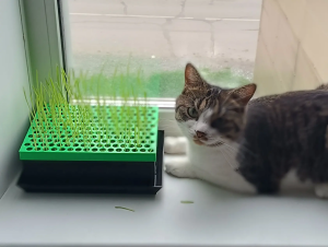 «Лоток для кошачьей травы с защитой "Антилапки"»