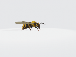 пчела 3d модель