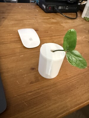 баночка для размножения растений