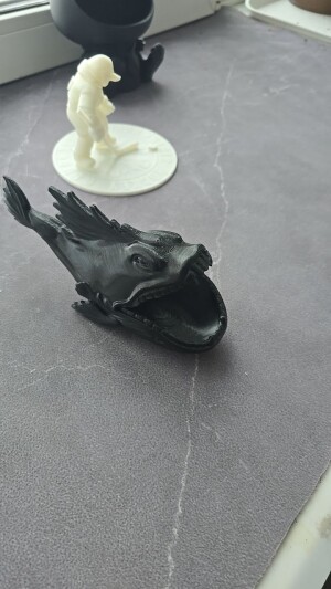 рыба конфетница