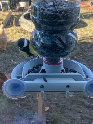 Крепление кормушки на присоски к стеклу.