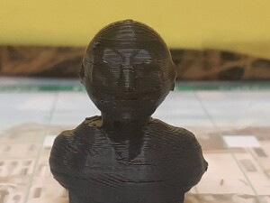 БЮСТ АНОНИМУСА