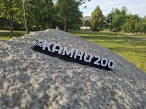 Статуэтка о гравийном бревете КАМНИ 200 по областям Беларуси на велосипеде. 🚲