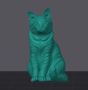 Кошка Лиза