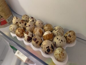 Подставка для 18 перепелиных яиц