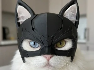 Шлем Бэтмена для кошек