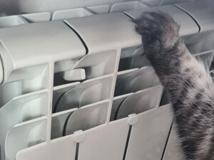 Защита кошачьих лапок от коварных радиаторов батарей отопления