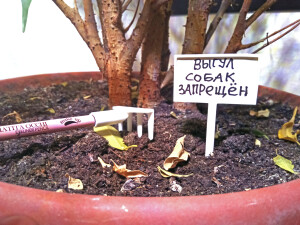 Мини Грабли