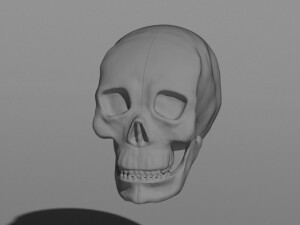 Череп человека