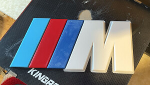 BMW Logo M
