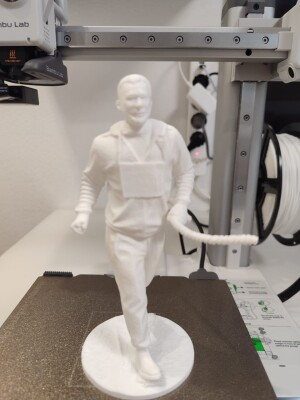 Бегун полосы препятствий