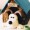 avvadog