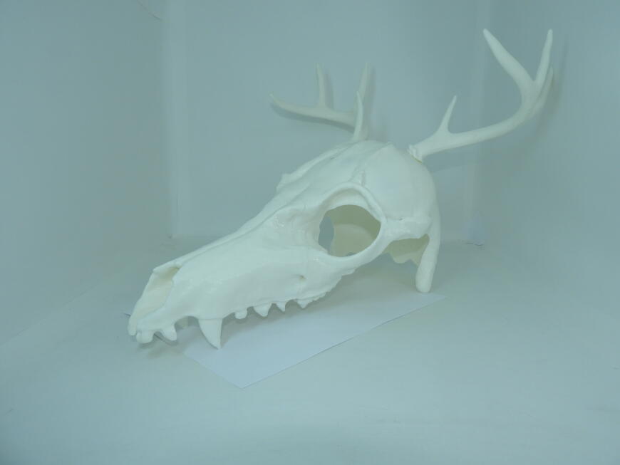 Мы печатаем