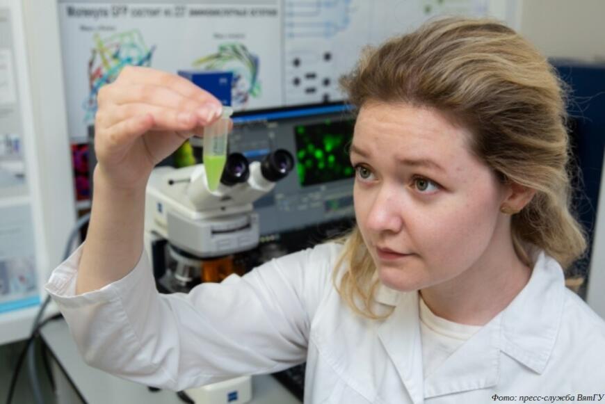 В Кирове разрабатываются расходные материалы для пищевых 3D-принтеров