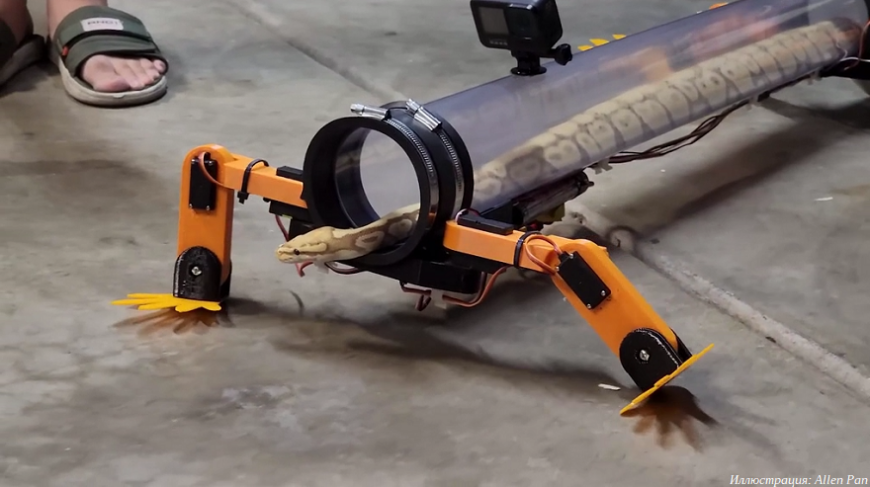 Экзоскелет для змеи, или Дарвин идет лесом