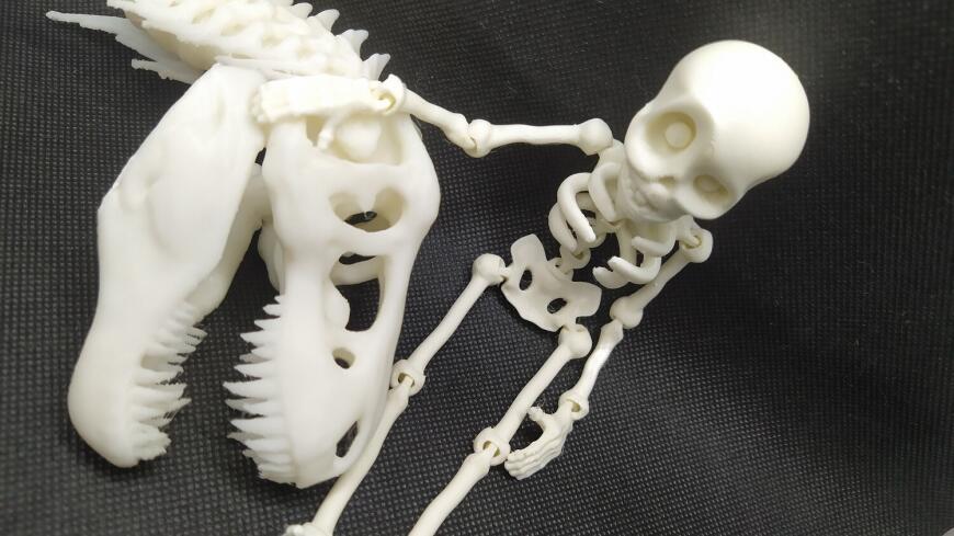 Подвижный "позитивный" скелет