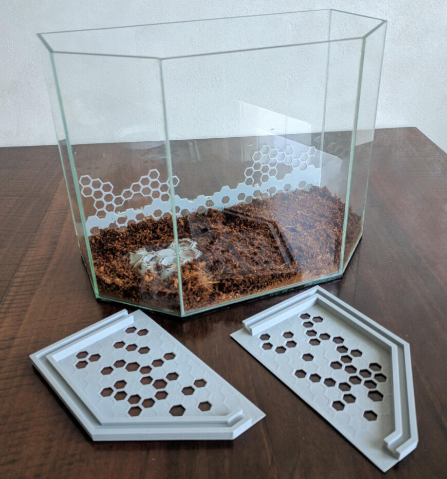 Реставрация террариума