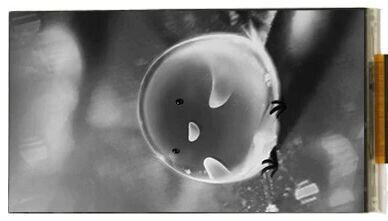 Второе дыхание 2к 5.5 Chitu фотополимерников: апдейт на монохром