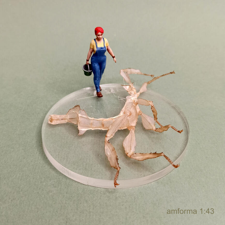 Задрали линять!!!