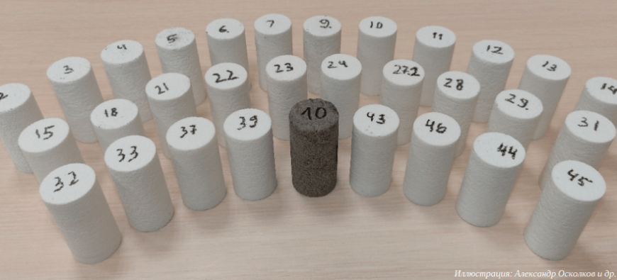 В ПНИПУ разработали способ клонирования образцов горных пород с помощью 3D-печати