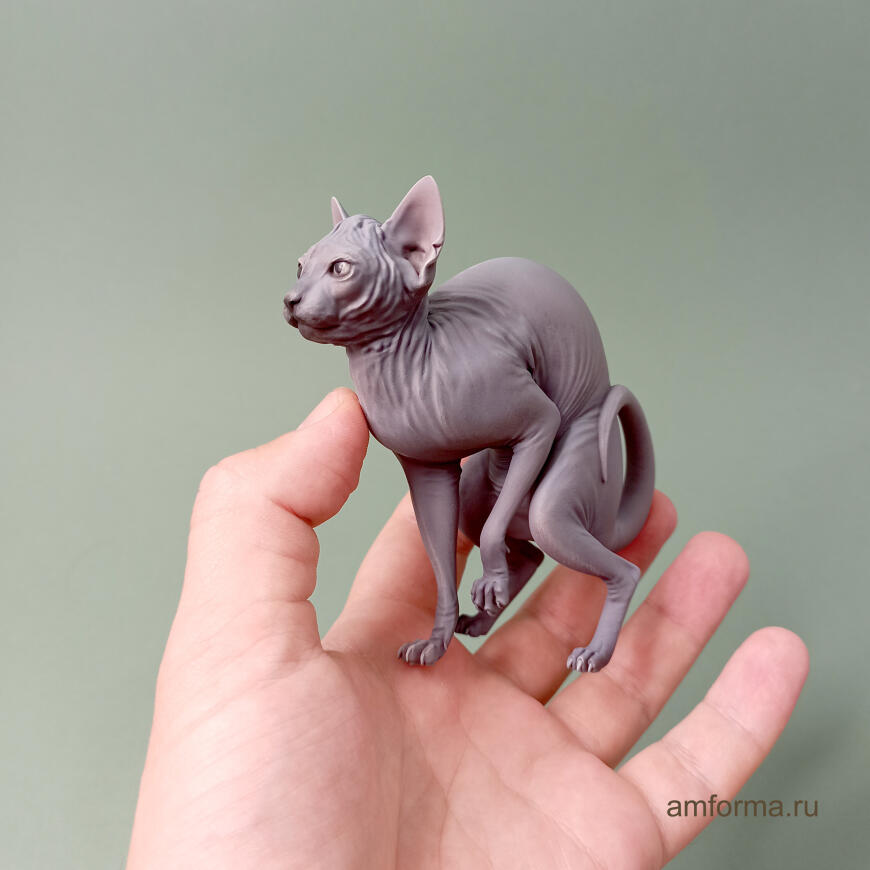 Кот Костян.