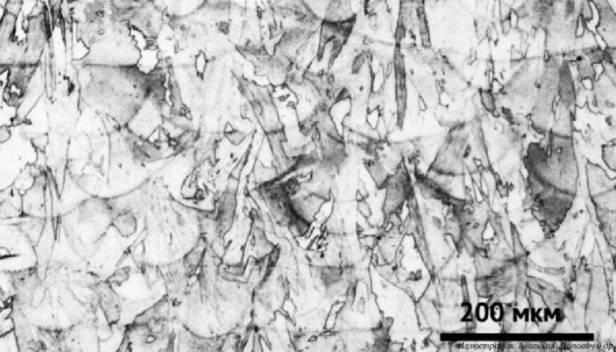 Роспатент выбрал лучшие разработки 2024 года