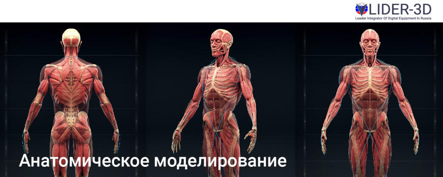Анатомическое моделирование • Полезные сервисы для медицинского сообщества
