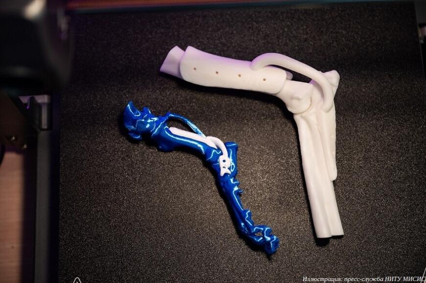 Ученые НИТУ МИСИС создают 3D-печатные ортопедические имплантаты для животных