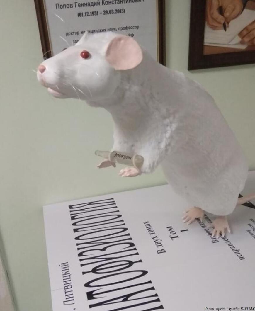 В ЮУГМУ напечатали на 3D-принтере памятник лабораторным крысам
