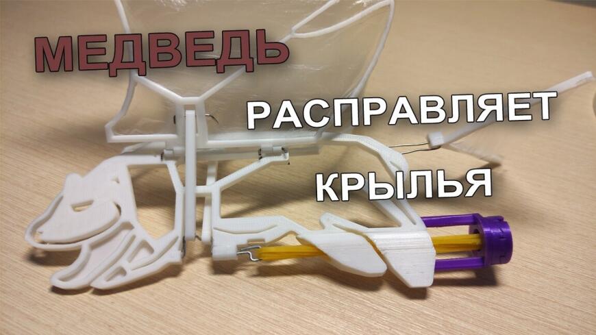 Медведь расправляет крылья