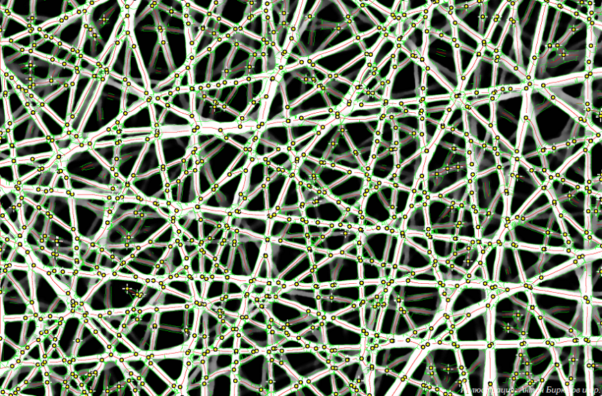Ученые Сколтеха разработали метод точного определения пористости волокнистых материалов по одному снимку