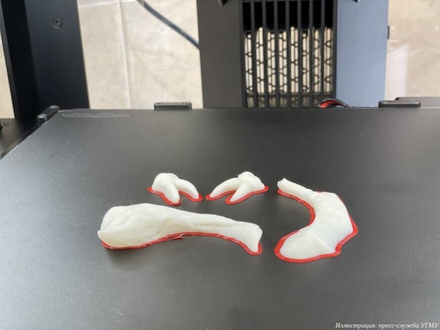 В УГМУ создают библиотеку персонифицированных анатомических препаратов с использованием 3D-сканирования и 3D-печати