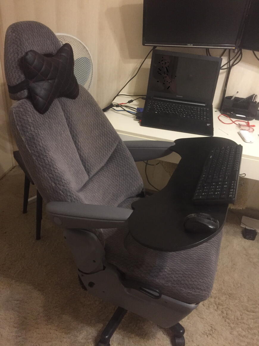 Геймерский трон дорого, но и собакой сутулой быть не хочется .