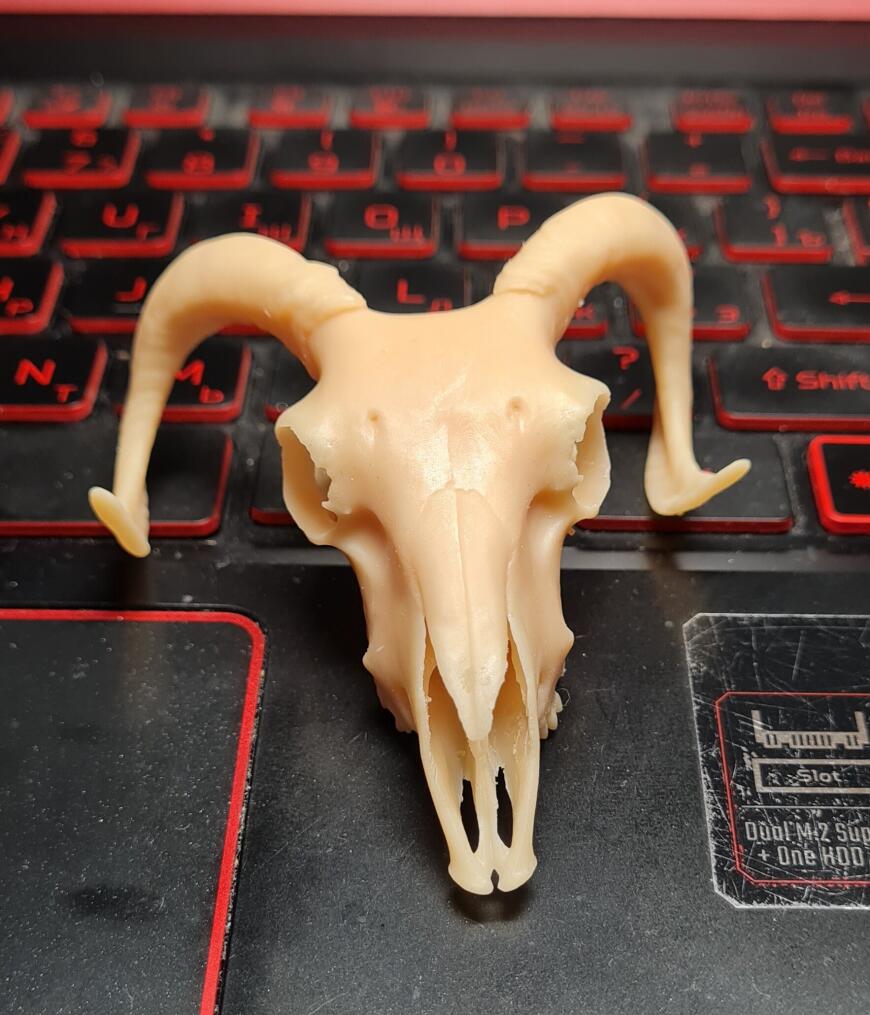 Череп барана по 3d скану в масштабе 1:10 с тонировкой