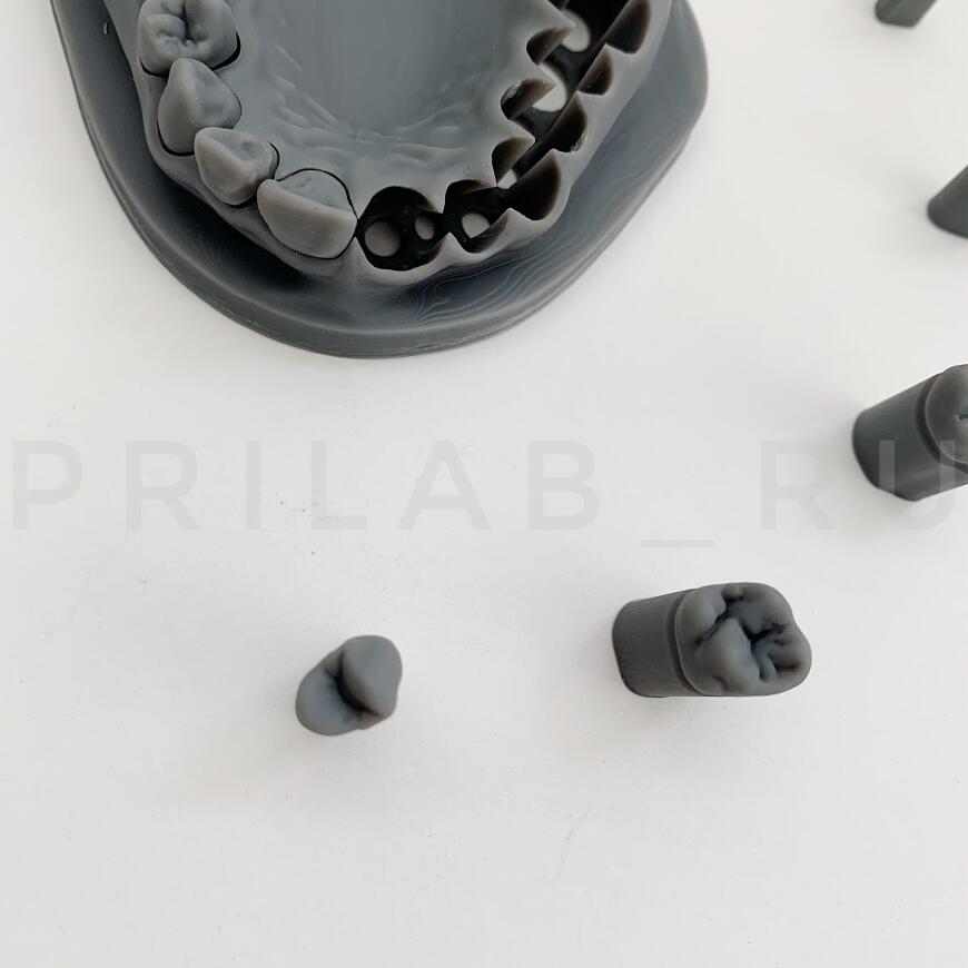 Макет "зубы".