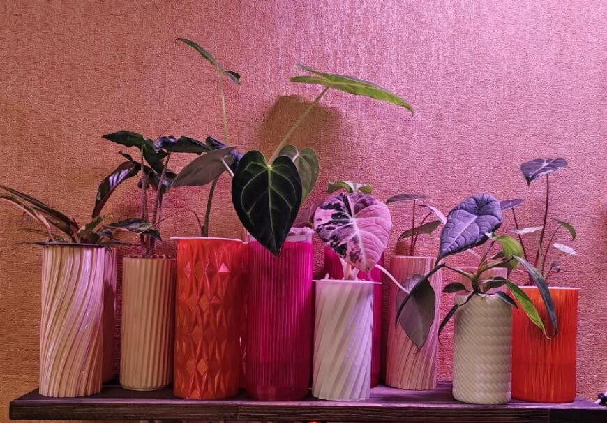 Первые шаги в 3D печати. Обзор пластика НИТ.