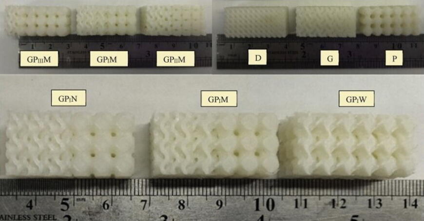 В Пермском политехе изучили 3D-печать костных имплантатов с градиентными структурами