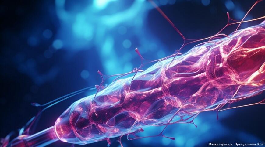 Ученые КубГМУ помогут пациентам с синдромом Щелкунчика