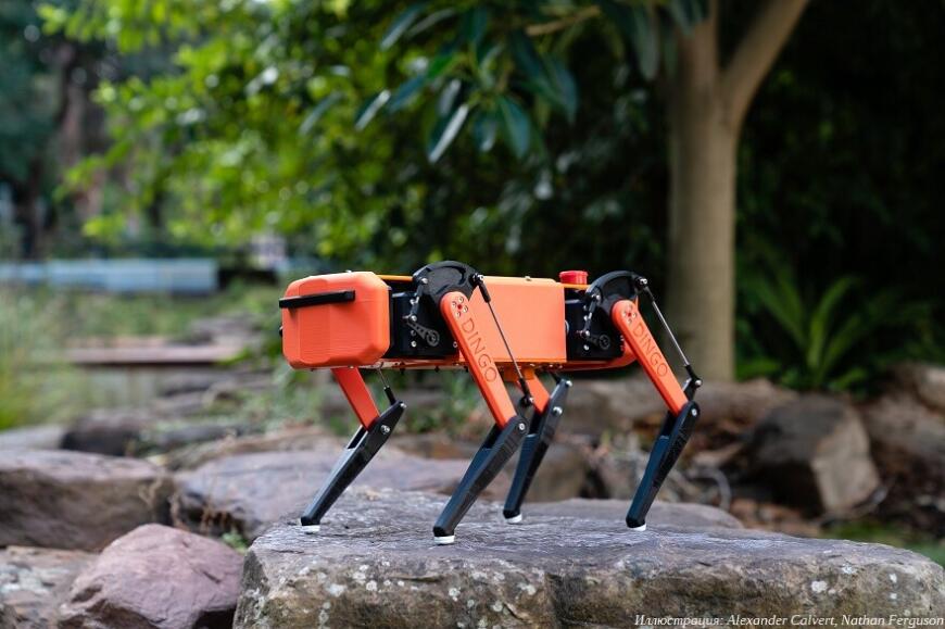 Австралийские студенты создали бюджетный аналог робособаки Spot