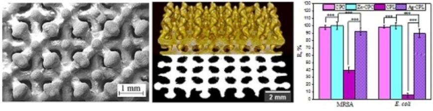 Сибирские ученые разработали 3D-печатные титановые имплантаты с антибактериальными покрытиями