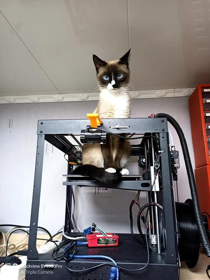 Свежеотпечатанная кошка :) Свежеотпечатанная кошка :)