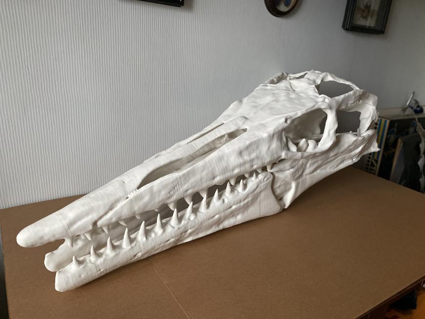 Палеопечать на PRINTBOX3D