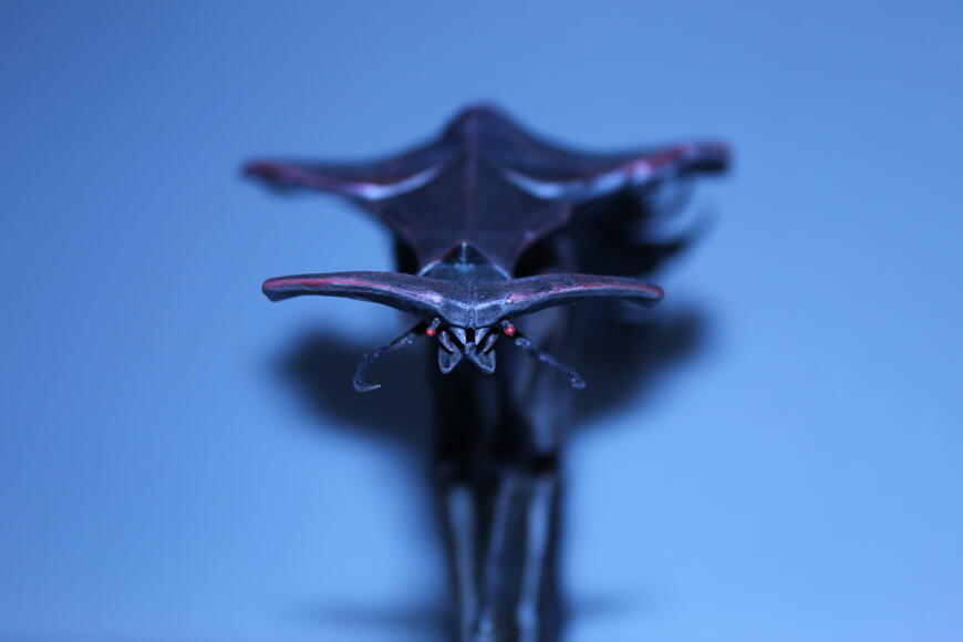 Шестиногая букашка. (Trilogira)