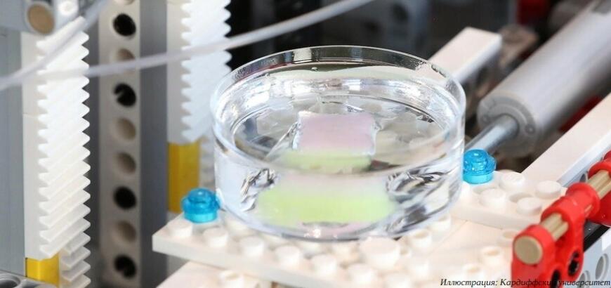 Британские ученые собрали биопринтер из LEGO