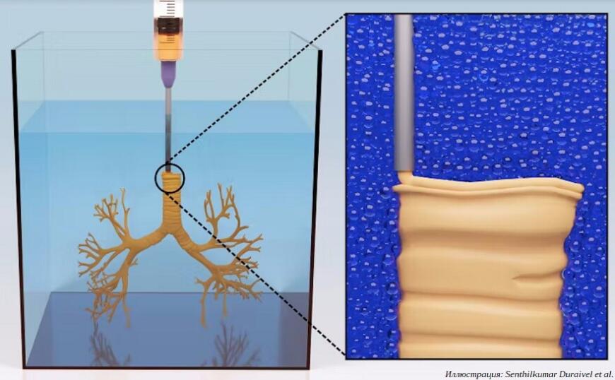 3D-печать во взвешенном состоянии помогает создавать реалистичные имитаторы сосудов