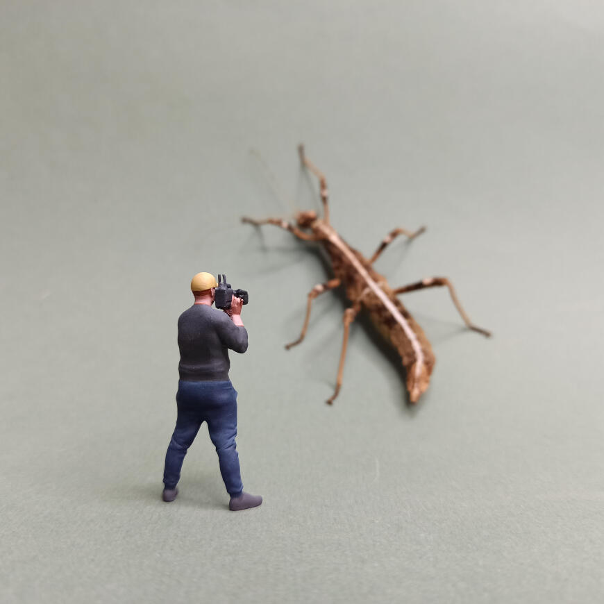 Новый, "неожиданный", сотрудник нашей мастерской.