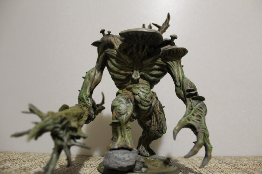 Прямоходящий гриб